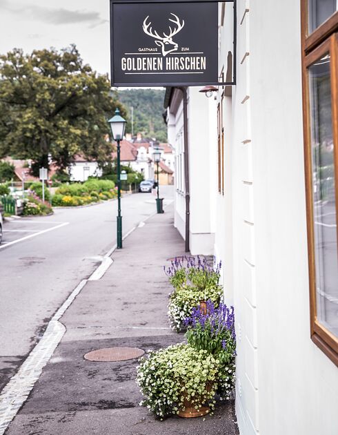 Gasthaus zum goldenen Hirschen