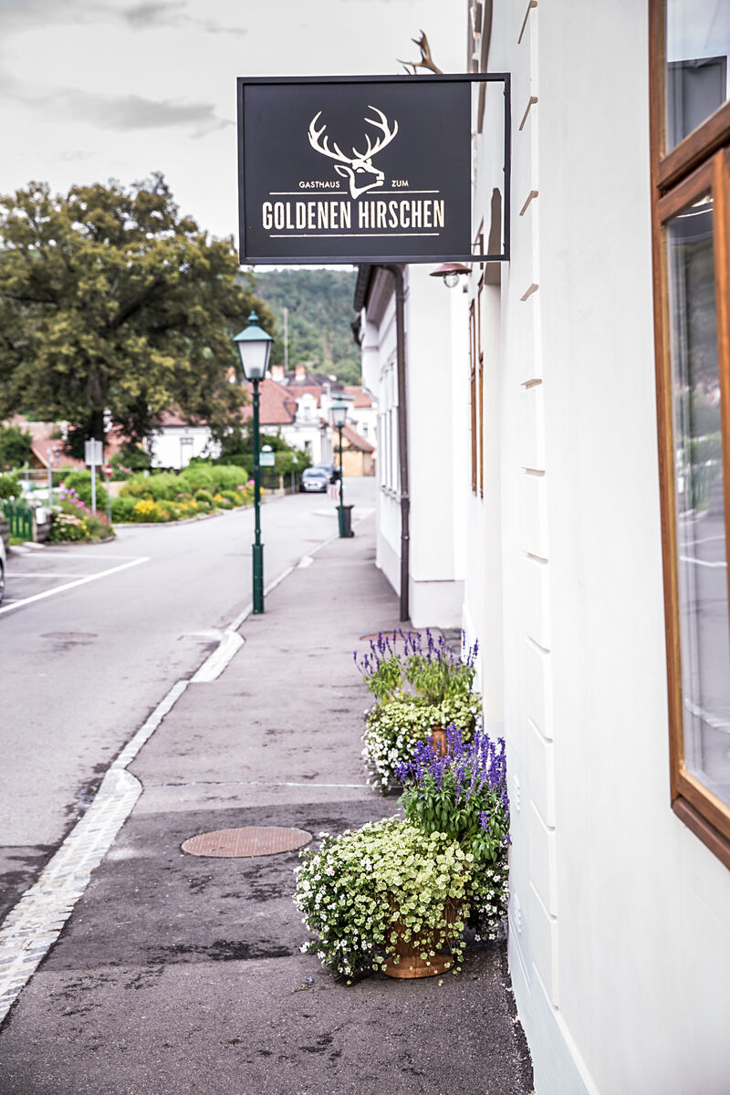 Gasthaus zum goldenen Hirschen