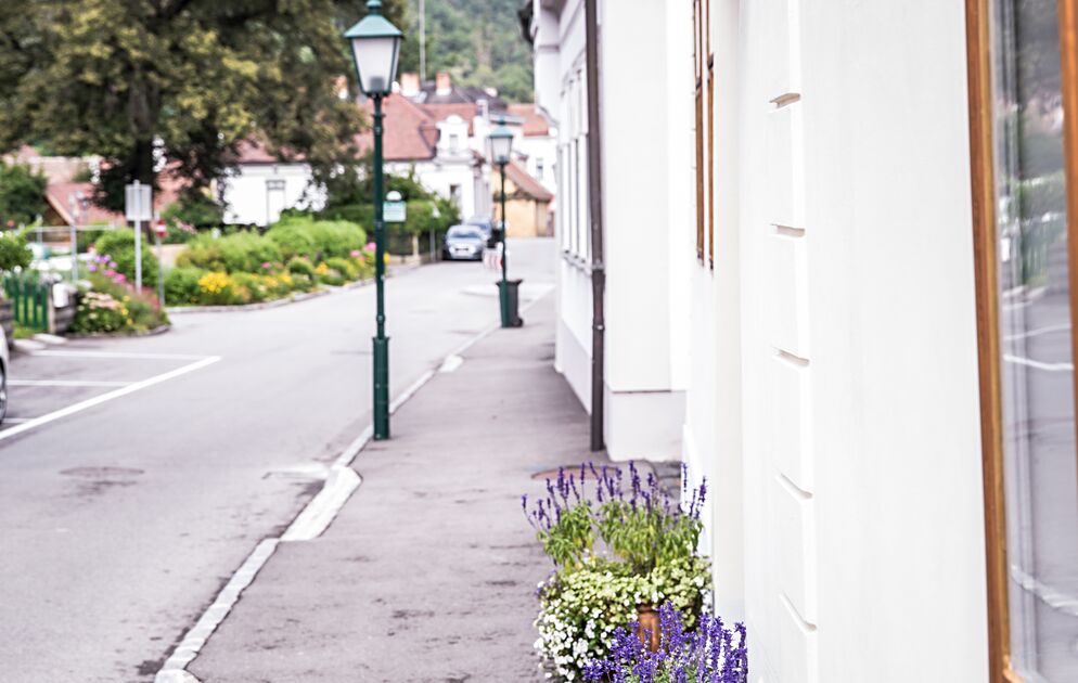 Gasthaus zum goldenen Hirschen