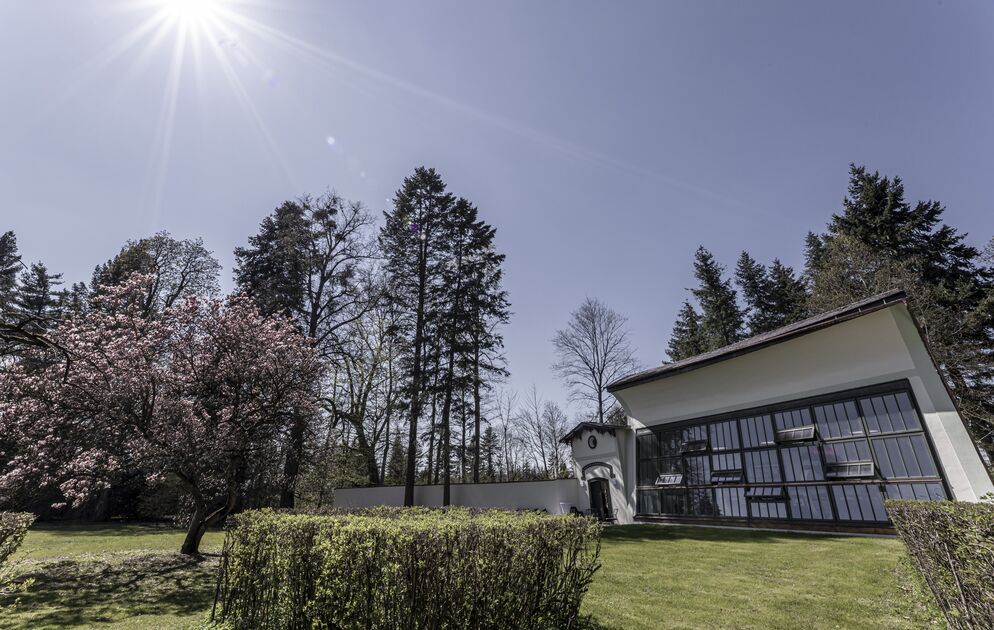 Haar Mona Aistersheim